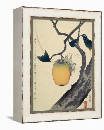 Moon, Persimmon and Grasshopper, 1807-Katsushika Hokusai-Framed Premier Image Canvas