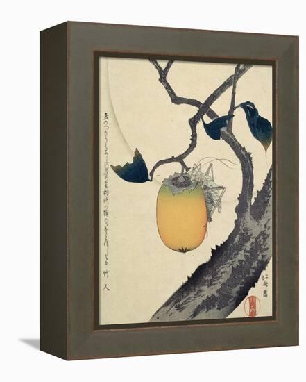 Moon, Persimmon and Grasshopper, 1807-Katsushika Hokusai-Framed Premier Image Canvas