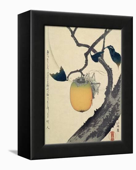 Moon, Persimmon and Grasshopper, 1807-Katsushika Hokusai-Framed Premier Image Canvas