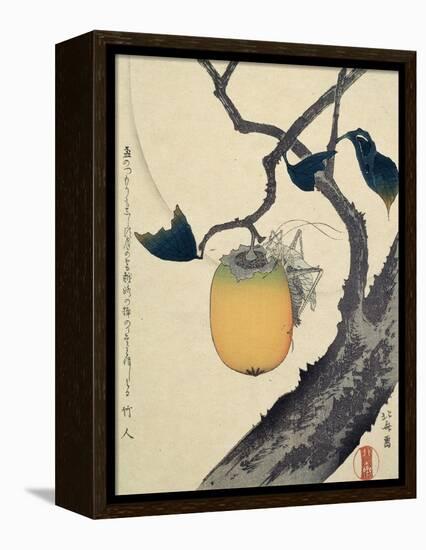 Moon, Persimmon and Grasshopper, 1807-Katsushika Hokusai-Framed Premier Image Canvas