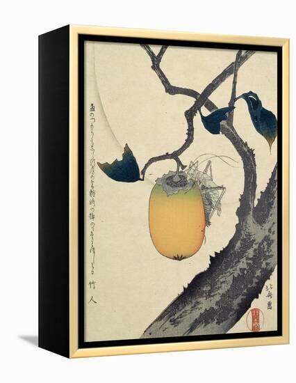 Moon, Persimmon and Grasshopper, 1807-Katsushika Hokusai-Framed Premier Image Canvas