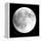 Moon Phase I-Gail Peck-Framed Stretched Canvas