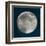 Moon Phase I-Tiffany Hakimipour-Framed Art Print