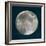 Moon Phase I-Tiffany Hakimipour-Framed Art Print