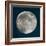 Moon Phase I-Tiffany Hakimipour-Framed Art Print