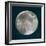 Moon Phase I-Tiffany Hakimipour-Framed Art Print