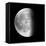 Moon Phase II-Gail Peck-Framed Stretched Canvas