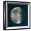 Moon Phase II-Tiffany Hakimipour-Framed Art Print