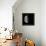 Moon Phase III-Gail Peck-Framed Stretched Canvas displayed on a wall