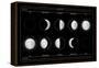 Moon Phases-null-Framed Stretched Canvas