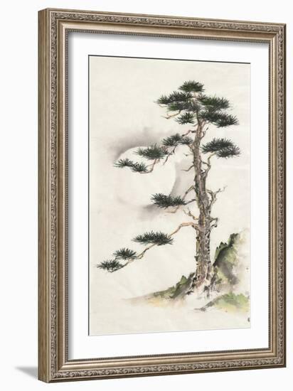 Moon Pine-Chris Paschke-Framed Art Print