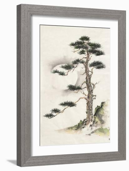 Moon Pine-Chris Paschke-Framed Art Print