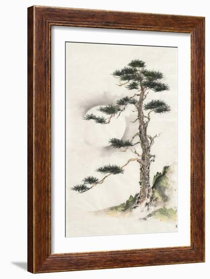 Moon Pine-Chris Paschke-Framed Art Print