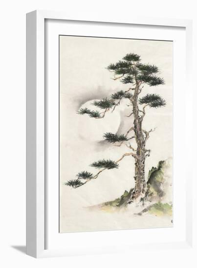 Moon Pine-Chris Paschke-Framed Art Print