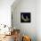 Moon Rider-J Hovenstine Studios-Framed Premier Image Canvas displayed on a wall