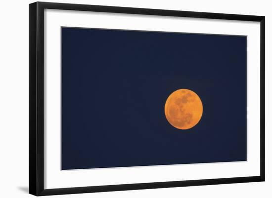 Moon Rise of the Super Moon, Savannah, Georgia, USA-Joanne Wells-Framed Photographic Print