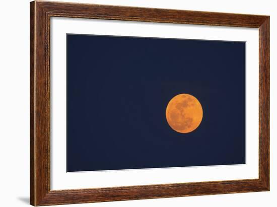 Moon Rise of the Super Moon, Savannah, Georgia, USA-Joanne Wells-Framed Photographic Print