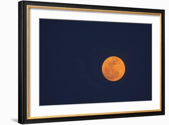 Moon Rise of the Super Moon, Savannah, Georgia, USA-Joanne Wells-Framed Photographic Print