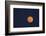 Moon Rise of the Super Moon, Savannah, Georgia, USA-Joanne Wells-Framed Photographic Print