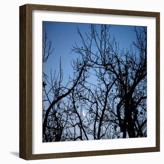 Moon Rise-Nicole Katano-Framed Photo