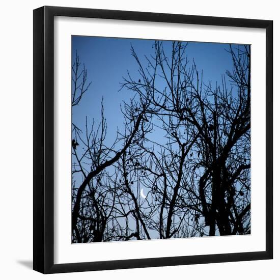 Moon Rise-Nicole Katano-Framed Photo