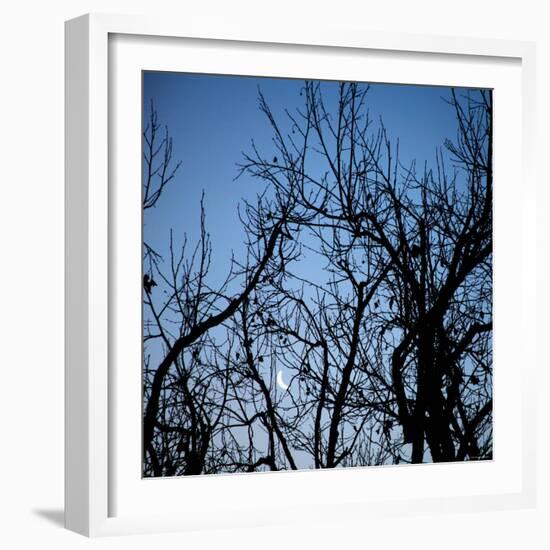 Moon Rise-Nicole Katano-Framed Photo