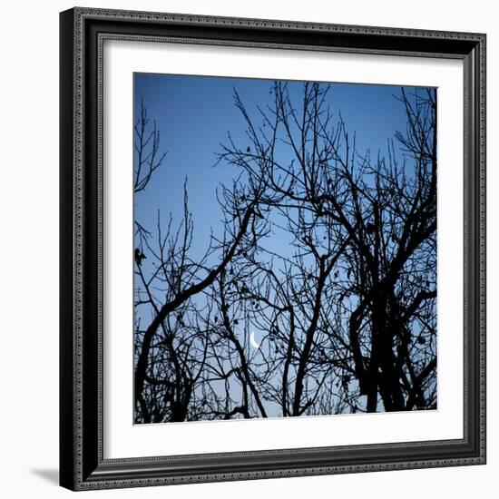 Moon Rise-Nicole Katano-Framed Photo