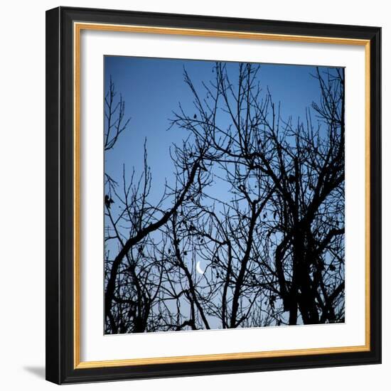 Moon Rise-Nicole Katano-Framed Photo