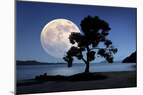 Moon Rising Over the Sea-Detlev Van Ravenswaay-Mounted Photographic Print