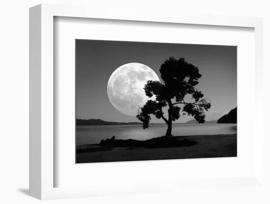 Moon Rising Over the Sea-Detlev Van Ravenswaay-Framed Photographic Print