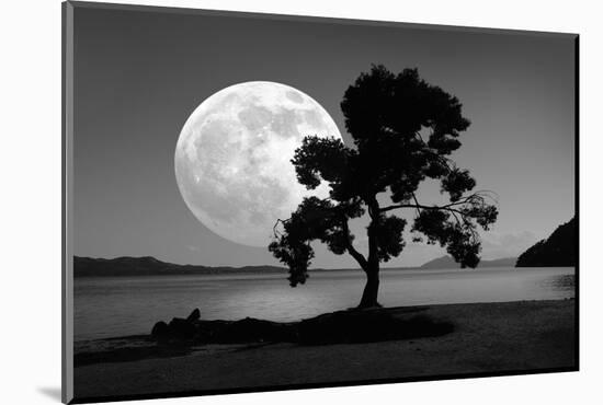 Moon Rising Over the Sea-Detlev Van Ravenswaay-Mounted Photographic Print