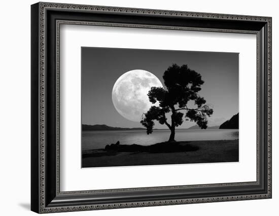 Moon Rising Over the Sea-Detlev Van Ravenswaay-Framed Photographic Print