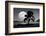 Moon Rising Over the Sea-Detlev Van Ravenswaay-Framed Photographic Print