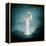 Moon River Lady-Paula Belle Flores-Framed Stretched Canvas