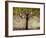 Moon River Tree-Blenda Tyvoll-Framed Giclee Print