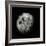 Moon Seen From 1000 Miles Away, Apollo 16 Mission-Science Source-Framed Giclee Print