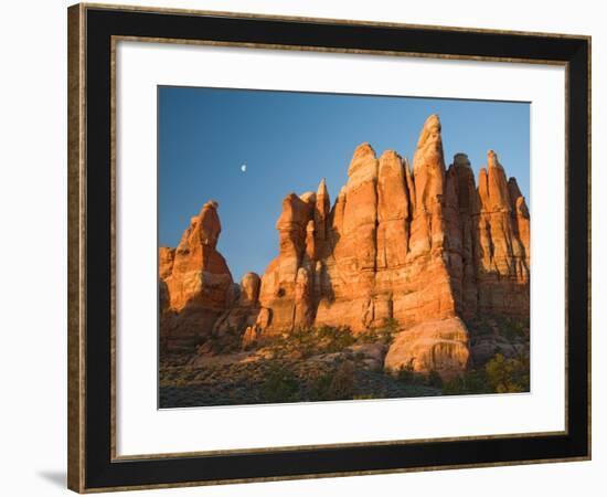 Moon Setting over Rock Pinnacles at Chesler Park, The Needles, Canyonlands National Park, Utah, USA-Jamie & Judy Wild-Framed Photographic Print