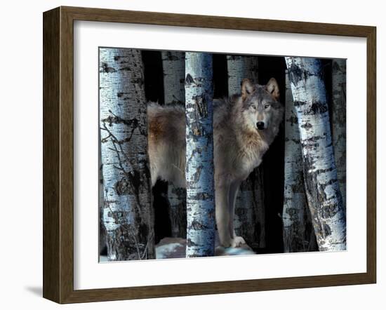 Moon Shadows-Gordon Semmens-Framed Photographic Print