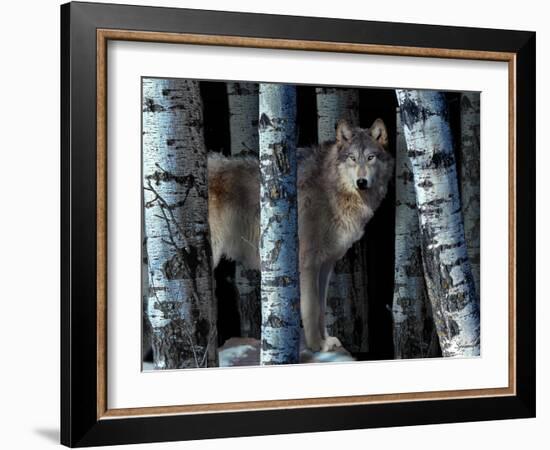 Moon Shadows-Gordon Semmens-Framed Photographic Print