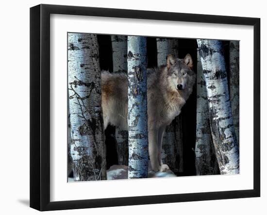 Moon Shadows-Gordon Semmens-Framed Photographic Print