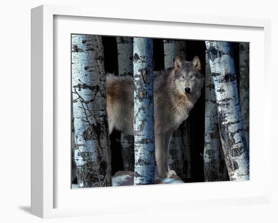 Moon Shadows-Gordon Semmens-Framed Photographic Print