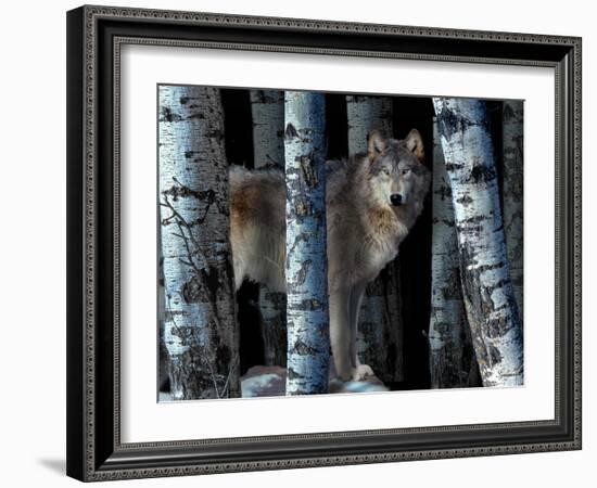 Moon Shadows-Gordon Semmens-Framed Photographic Print