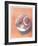 Moon Shell-Jill O'Connell-Framed Limited Edition