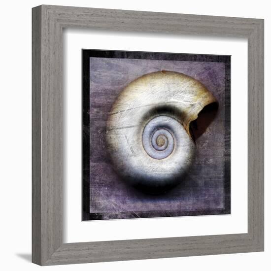 Moon Snail-John Golden-Framed Art Print