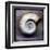 Moon Snail-John Golden-Framed Art Print