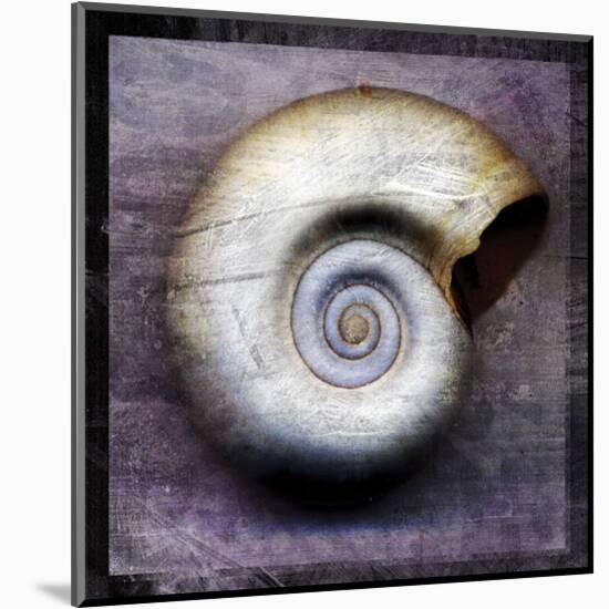 Moon Snail-John W^ Golden-Mounted Art Print