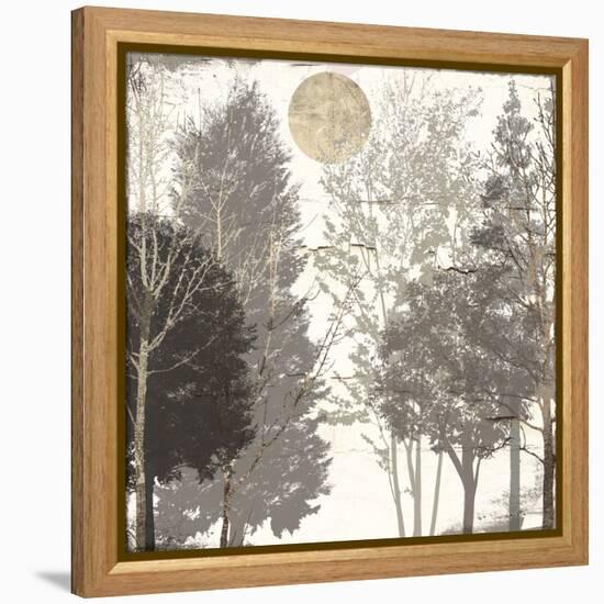 Moon Trees I-Sophie 6-Framed Stretched Canvas