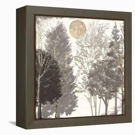 Moon Trees I-Sophie 6-Framed Stretched Canvas