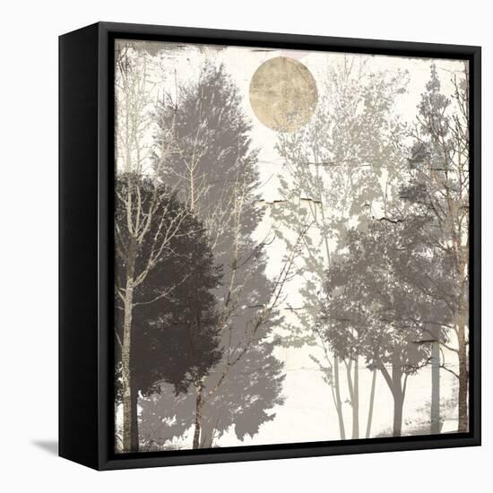 Moon Trees I-Sophie 6-Framed Stretched Canvas