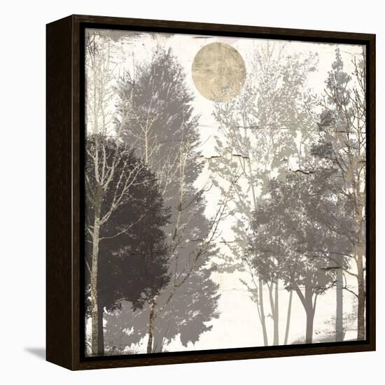 Moon Trees I-Sophie 6-Framed Stretched Canvas